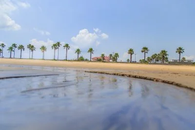 無料壁紙 渚とヤシの木。PCとデスクトップ壁紙に最適な4K高画質の無料壁紙。三重県津市のマリーナ河芸で撮影したフリー写真素材