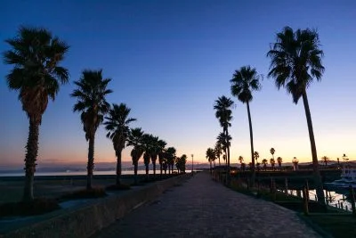 無料壁紙 シルエットで浮かぶヤシの木。PCとデスクトップ壁紙に最適な4K高画質の無料壁紙。三重県津市のマリーナ河芸で撮影したフリー写真素材