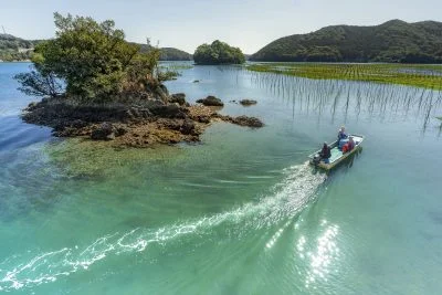 無料壁紙 あおさの収穫へ向かう船。PCとデスクトップ壁紙に最適な4K高画質の無料壁紙。三重県南伊勢町の内瀬湾のあおさで撮影したフリー写真素材