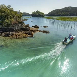 無料壁紙 あおさの収穫へ向かう船。PCとデスクトップ壁紙に最適な4K高画質の無料壁紙。三重県南伊勢町の内瀬湾のあおさで撮影したフリー写真素材