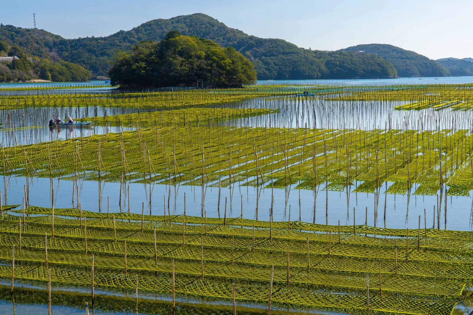 無料壁紙 村島とアオサ海苔。PCとデスクトップ壁紙に最適な4K高画質の無料壁紙。三重県南伊勢町の内瀬湾のあおさで撮影したフリー写真素材