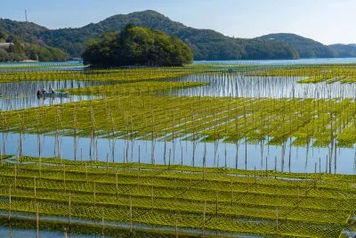 無料壁紙 村島とアオサ海苔。PCとデスクトップ壁紙に最適な4K高画質の無料壁紙。三重県南伊勢町の内瀬湾のあおさで撮影したフリー写真素材