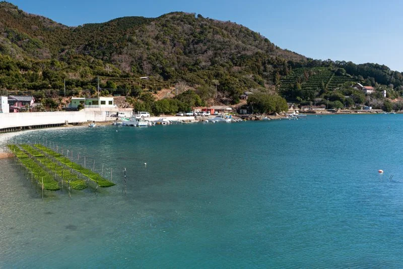 無料壁紙 内瀬地区の町。PCとデスクトップ壁紙に最適な4K高画質の無料壁紙。三重県南伊勢町の内瀬湾のあおさで撮影したフリー写真素材