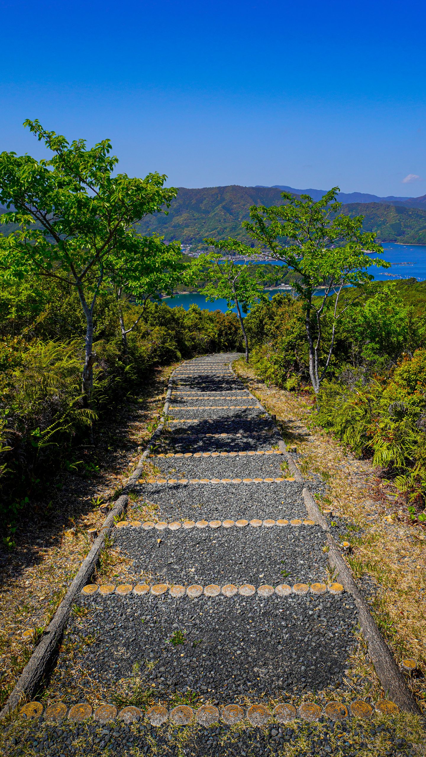 見晴台へ続く天空の階段(三重県南伊勢町・南海展望台)