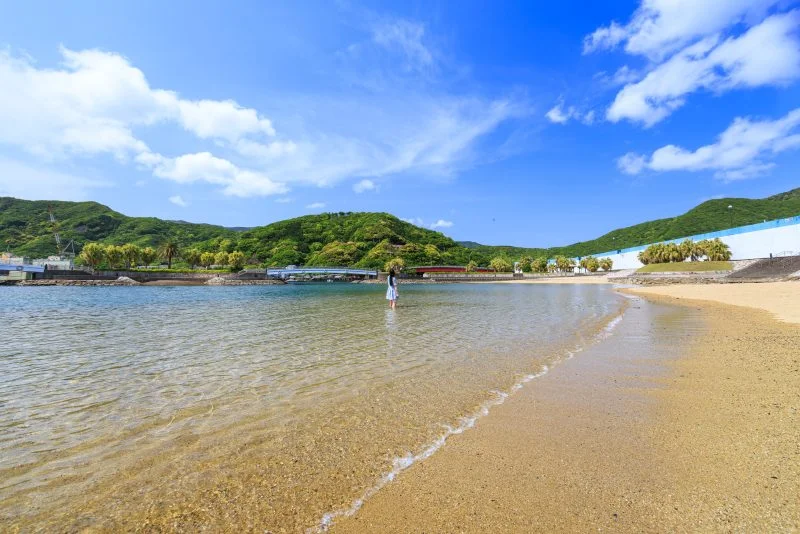 無料壁紙 ビーチで海水浴を楽しむ。PCとデスクトップ壁紙に最適な4K高画質の無料壁紙。三重県大紀町の錦向井ヶ浜トロピカルガーデンで撮影したフリー写真素材