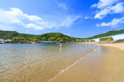 無料壁紙 ビーチで海水浴を楽しむ。PCとデスクトップ壁紙に最適な4K高画質の無料壁紙。三重県大紀町の錦向井ヶ浜トロピカルガーデンで撮影したフリー写真素材