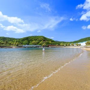 無料壁紙 ビーチで海水浴を楽しむ。PCとデスクトップ壁紙に最適な4K高画質の無料壁紙。三重県大紀町の錦向井ヶ浜トロピカルガーデンで撮影したフリー写真素材