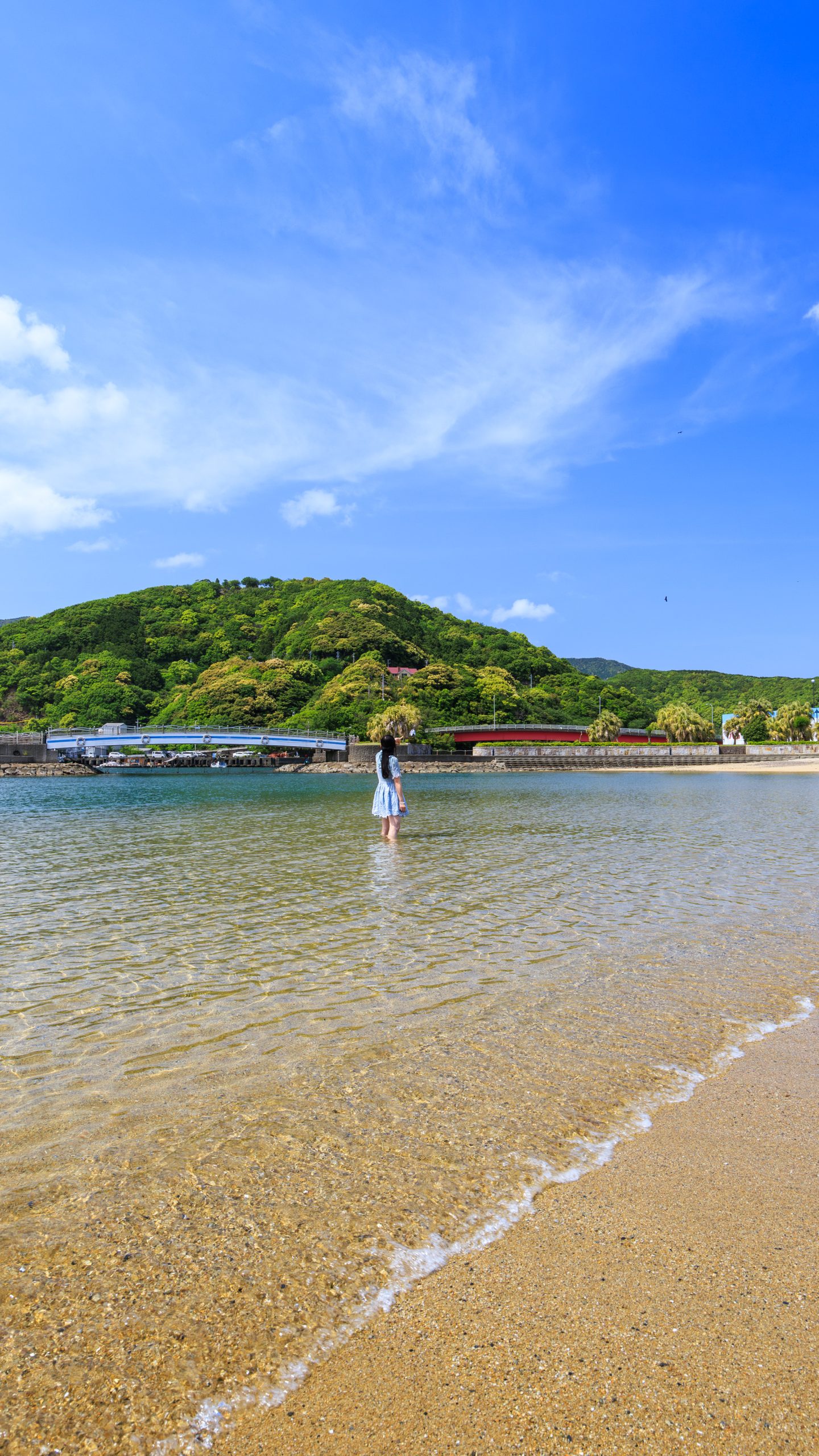 ビーチで海水浴を楽しむ(三重県大紀町・錦向井ヶ浜トロピカルガーデン)