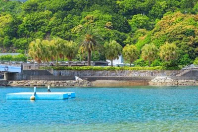 無料壁紙 南国のような雰囲気。PCとデスクトップ壁紙に最適な4K高画質の無料壁紙。三重県大紀町の錦向井ヶ浜トロピカルガーデンで撮影したフリー写真素材