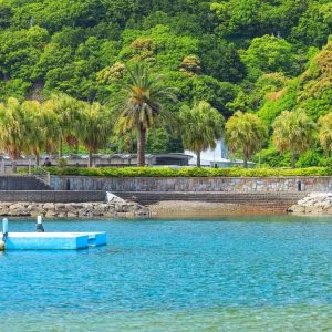 無料壁紙 南国のような雰囲気。PCとデスクトップ壁紙に最適な4K高画質の無料壁紙。三重県大紀町の錦向井ヶ浜トロピカルガーデンで撮影したフリー写真素材