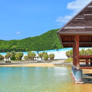 無料壁紙 南国風の休憩所。PCとデスクトップ壁紙に最適な4K高画質の無料壁紙。三重県大紀町の錦向井ヶ浜トロピカルガーデンで撮影したフリー写真素材