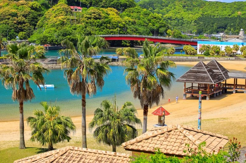 無料壁紙 ヤシの木が並ぶビーチ。PCとデスクトップ壁紙に最適な4K高画質の無料壁紙。三重県大紀町の錦向井ヶ浜トロピカルガーデンで撮影したフリー写真素材