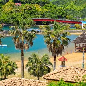 無料壁紙 ヤシの木が並ぶビーチ。PCとデスクトップ壁紙に最適な4K高画質の無料壁紙。三重県大紀町の錦向井ヶ浜トロピカルガーデンで撮影したフリー写真素材