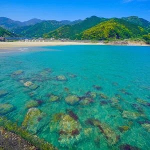 大泊海水浴場のフリー写真素材