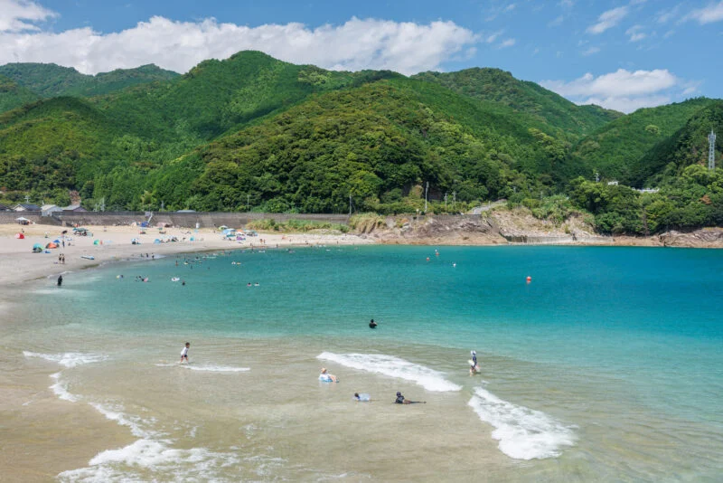 海水浴場で賑わうビーチ（三重県熊野市・大泊海水浴場）