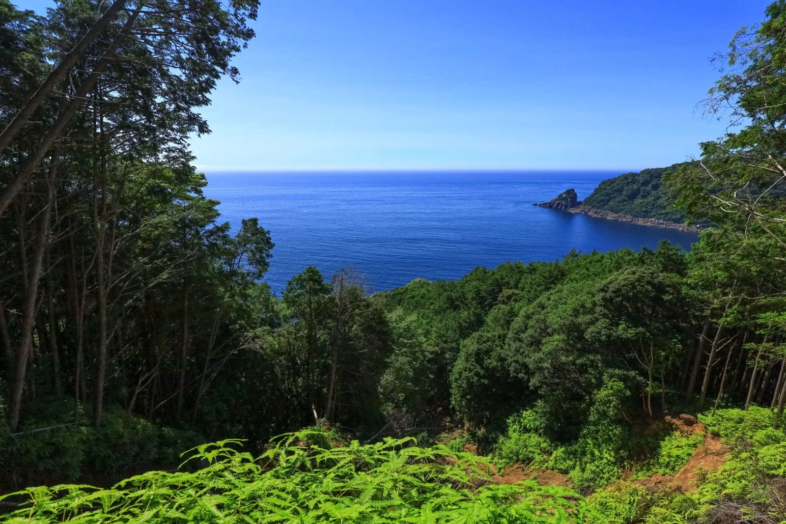 無料壁紙 登山道からの見晴らし。PCとデスクトップ壁紙に最適な4K高画質の無料壁紙。三重県尾鷲市のオハイで撮影したフリー写真素材