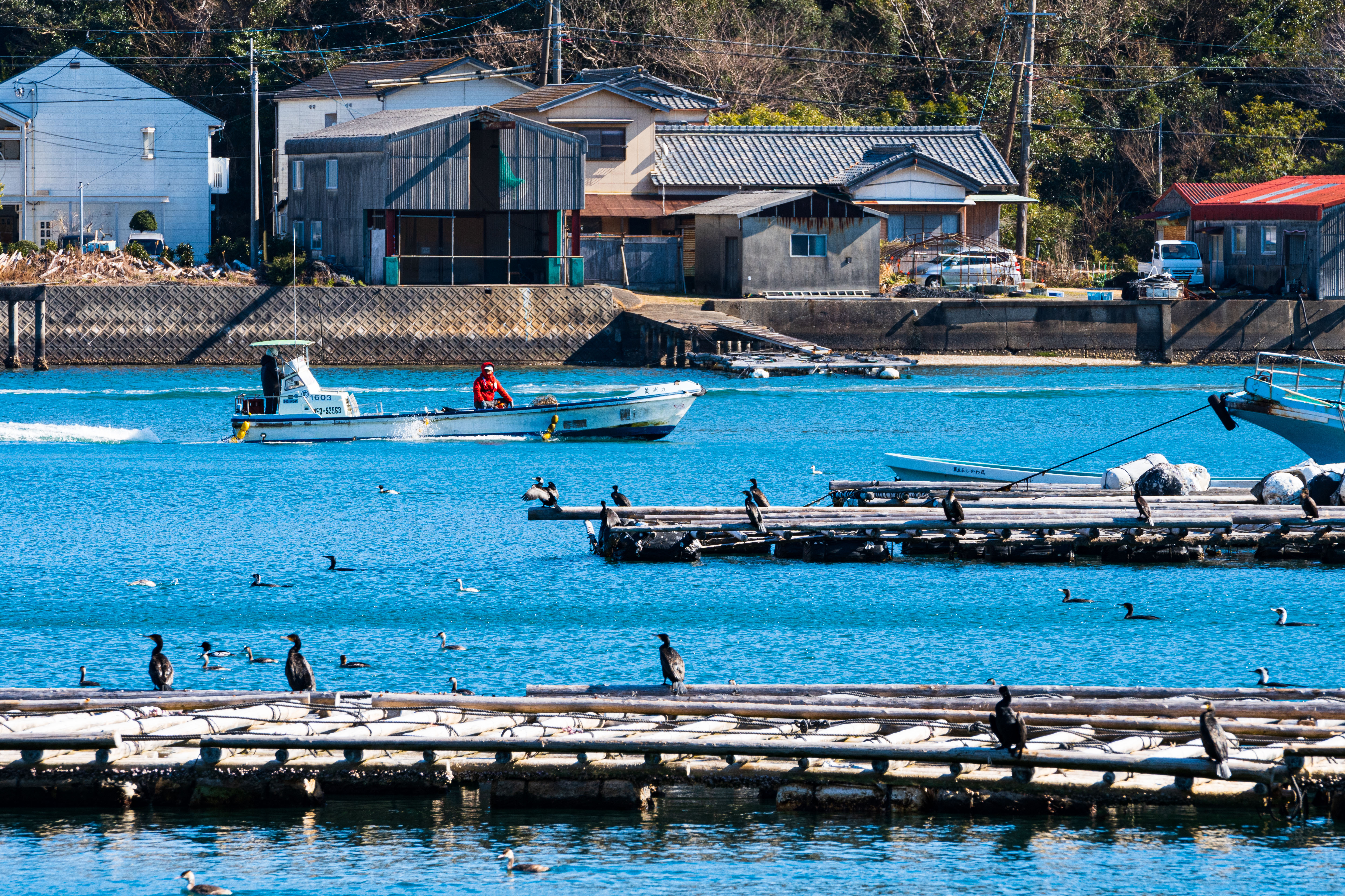 無料壁紙 安楽島町の原風景。PCとデスクトップ壁紙に最適な4K高画質の無料壁紙。三重県鳥羽市のパールロードで撮影したフリー写真素材