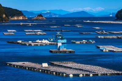 無料壁紙 安楽島の牡蠣養殖イカダ。PCとデスクトップ壁紙に最適な4K高画質の無料壁紙。三重県鳥羽市のパールロードで撮影したフリー写真素材