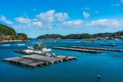 無料壁紙 安楽島町の牡蠣養殖。PCとデスクトップ壁紙に最適な4K高画質の無料壁紙。三重県鳥羽市のパールロードで撮影したフリー写真素材