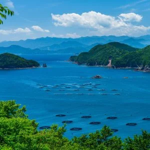 塩浜山村広場のフリー写真素材