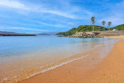 無料壁紙 ヤシの木と和具サンシャインビーチ。PCとデスクトップ壁紙に最適な4K高画質の無料壁紙。三重県鳥羽市の答志島で撮影したフリー写真素材