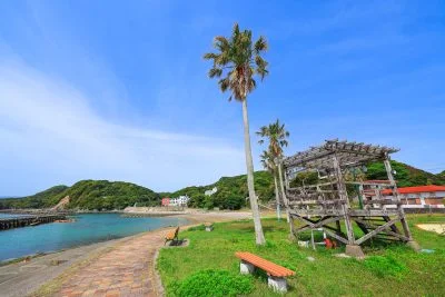 無料壁紙 和具サンシャインビーチのヤシの木。PCとデスクトップ壁紙に最適な4K高画質の無料壁紙。三重県鳥羽市の答志島で撮影したフリー写真素材