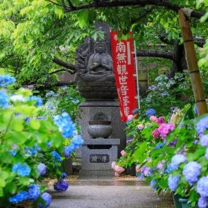 大慈寺のフリー写真素材