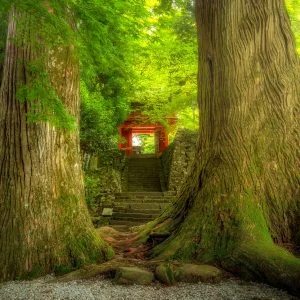 真福院のフリー写真素材