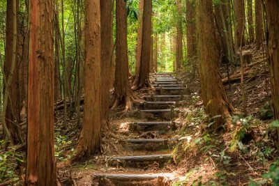 無料壁紙 風穴に続く熊野古道みたいな遊歩道。PCとデスクトップ壁紙に最適な4K高画質の無料壁紙。三重県志摩市の天の岩戸（恵利原の水穴）で撮影したフリー写真素材