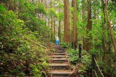 無料壁紙 風穴へと続く遊歩道。PCとデスクトップ壁紙に最適な4K高画質の無料壁紙。三重県志摩市の天の岩戸（恵利原の水穴）で撮影したフリー写真素材