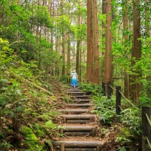 無料壁紙 風穴へと続く遊歩道。PCとデスクトップ壁紙に最適な4K高画質の無料壁紙。三重県志摩市の天の岩戸（恵利原の水穴）で撮影したフリー写真素材