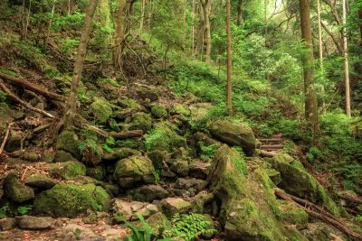 無料壁紙 風穴の真下にある遊歩道。PCとデスクトップ壁紙に最適な4K高画質の無料壁紙。三重県志摩市の天の岩戸（恵利原の水穴）で撮影したフリー写真素材