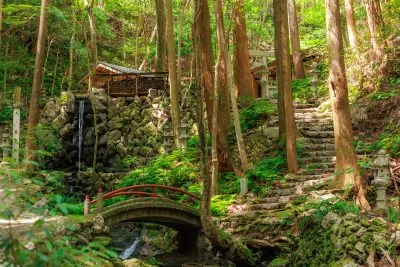 無料壁紙 木漏れ日に照らされる参道。PCとデスクトップ壁紙に最適な4K高画質の無料壁紙。三重県志摩市の天の岩戸（恵利原の水穴）で撮影したフリー写真素材