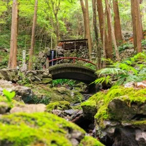 無料壁紙 苔むす参道と橋と滝。PCとデスクトップ壁紙に最適な4K高画質の無料壁紙。三重県志摩市の天の岩戸（恵利原の水穴）で撮影したフリー写真素材