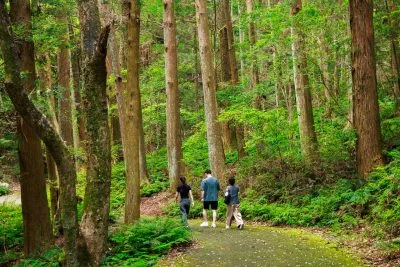 無料壁紙 駐車場近くの通路を歩く人。PCとデスクトップ壁紙に最適な4K高画質の無料壁紙。三重県志摩市の天の岩戸（恵利原の水穴）で撮影したフリー写真素材