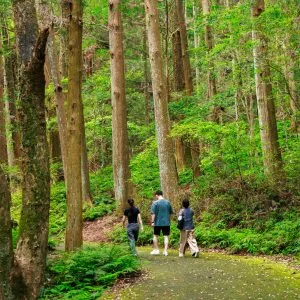 無料壁紙 駐車場近くの通路を歩く人。PCとデスクトップ壁紙に最適な4K高画質の無料壁紙。三重県志摩市の天の岩戸（恵利原の水穴）で撮影したフリー写真素材