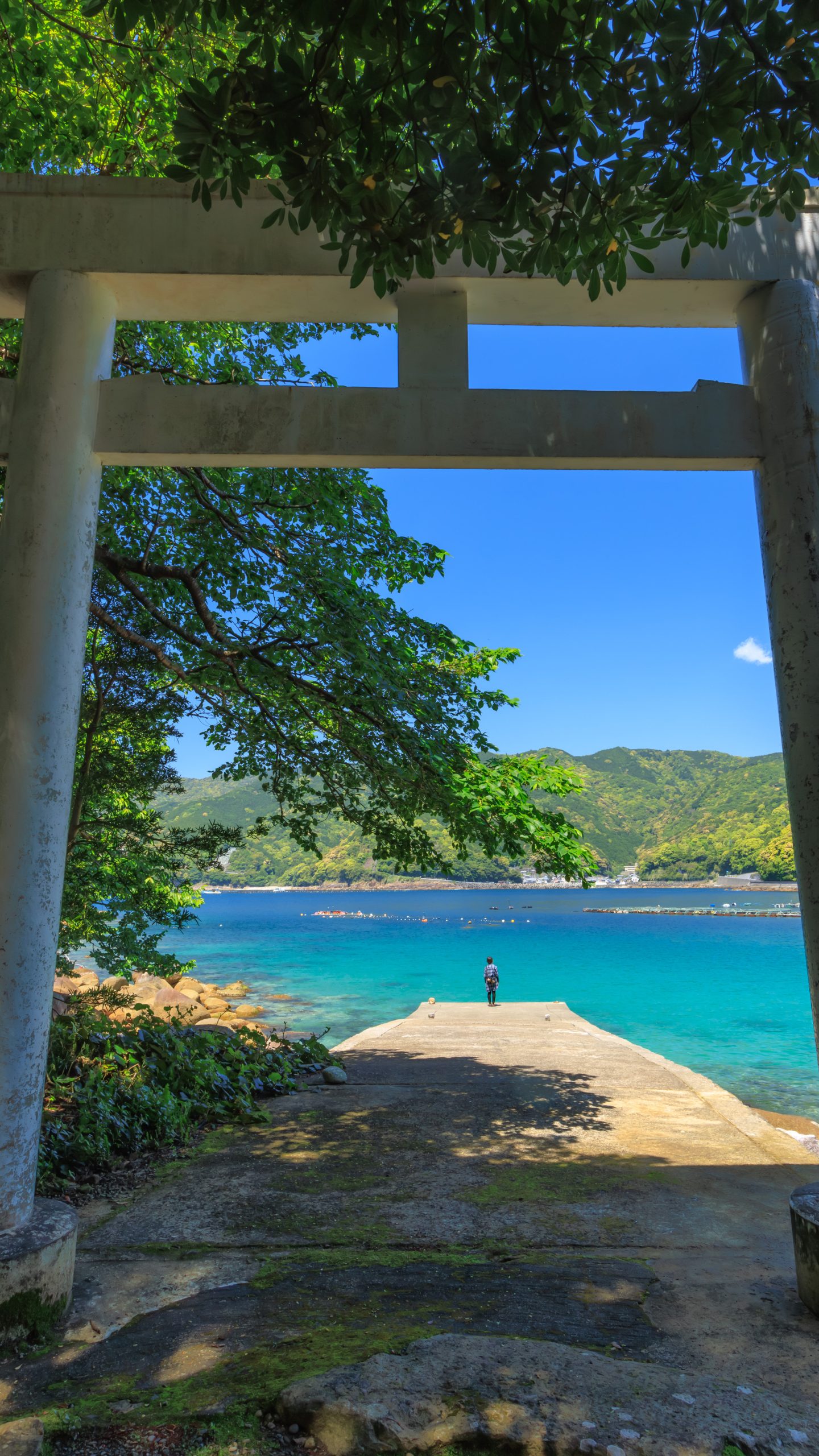鳥居の先は青い海(三重県熊野市・阿古師神社)