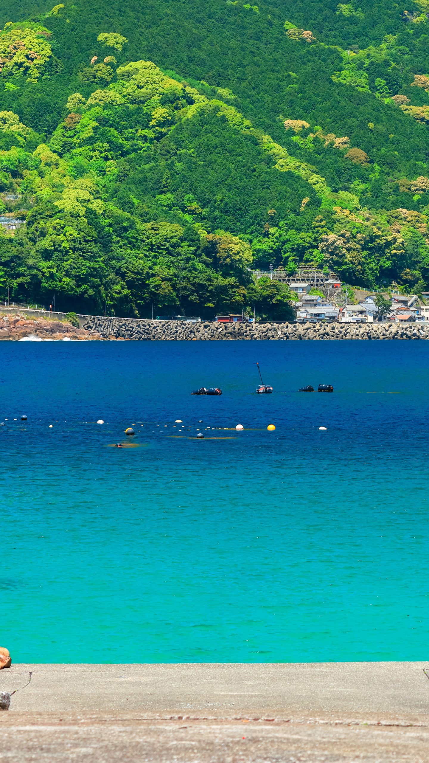 青い二木島湾(三重県熊野市・阿古師神社)