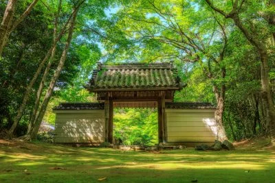 無料壁紙 新緑の山門と木漏れ日。PCとデスクトップ壁紙に最適な4K高画質の無料壁紙。三重県津市の円光寺で撮影したフリー写真素材