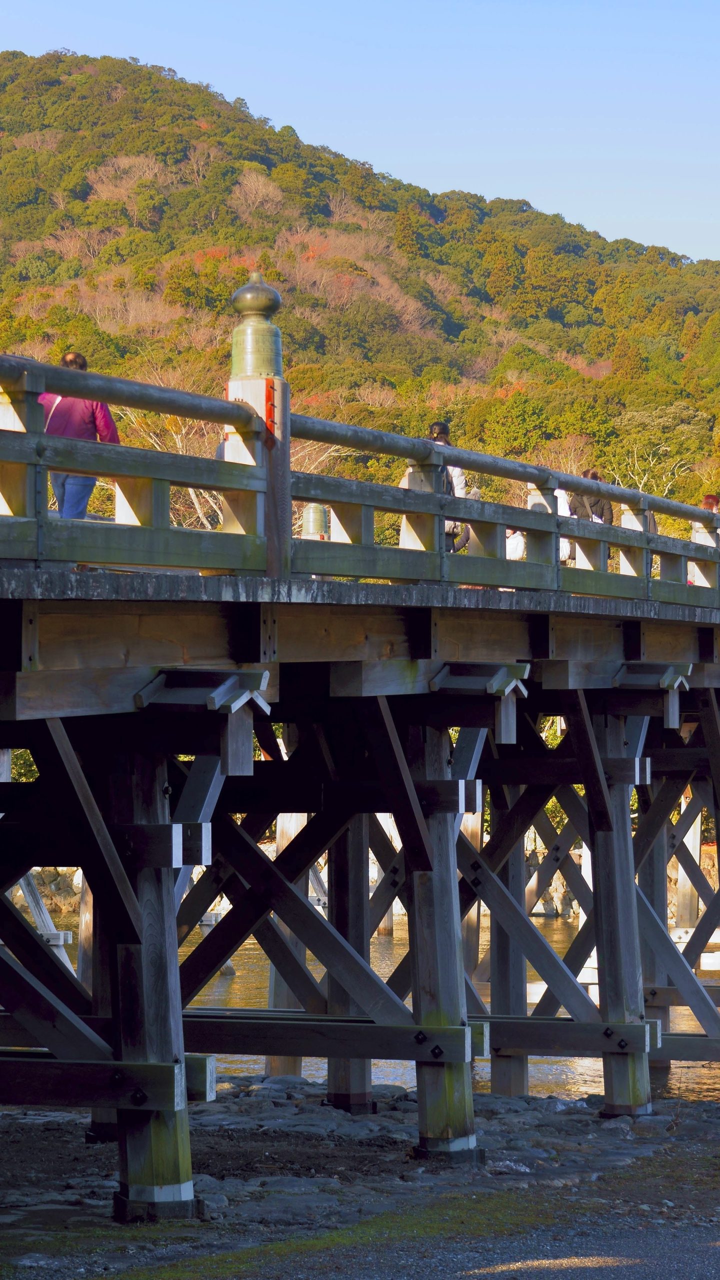 宇治橋と紅葉(三重県伊勢市・伊勢神宮)