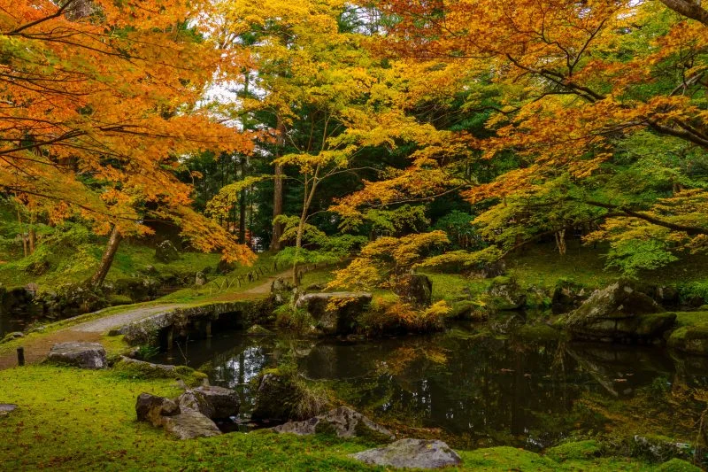 無料壁紙 秋に色づく庭園。PCとデスクトップ壁紙に最適な4K高画質の無料壁紙。三重県津市の北畠神社で撮影したフリー写真素材