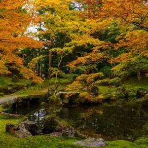 無料壁紙 秋に色づく庭園。PCとデスクトップ壁紙に最適な4K高画質の無料壁紙。三重県津市の北畠神社で撮影したフリー写真素材