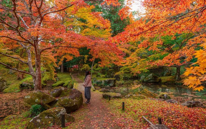 無料壁紙 庭園で紅葉狩り。PCとデスクトップ壁紙に最適な4K高画質の無料壁紙。三重県津市の北畠神社で撮影したフリー写真素材
