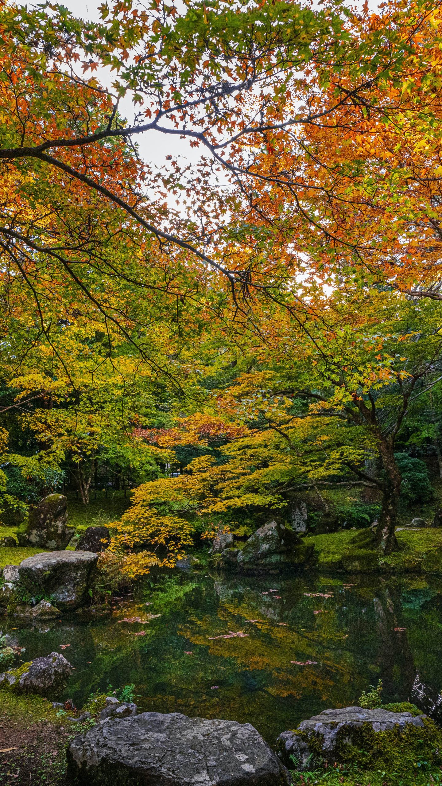 庭園の池に映る秋(三重県津市・北畠神社)