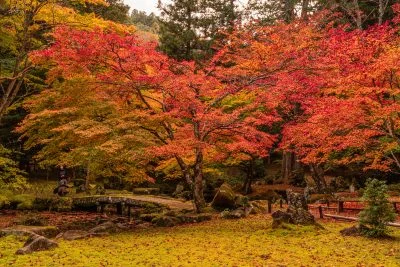 無料壁紙 紅葉の庭園。PCとデスクトップ壁紙に最適な4K高画質の無料壁紙。三重県津市の北畠神社で撮影したフリー写真素材