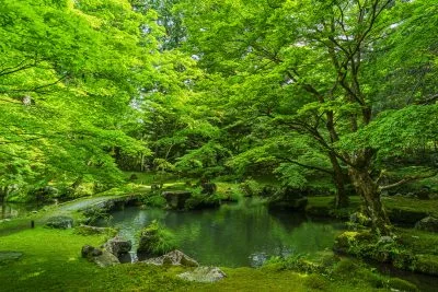 無料壁紙 新緑の庭園と池。PCとデスクトップ壁紙に最適な4K高画質の無料壁紙。三重県津市の北畠神社で撮影したフリー写真素材