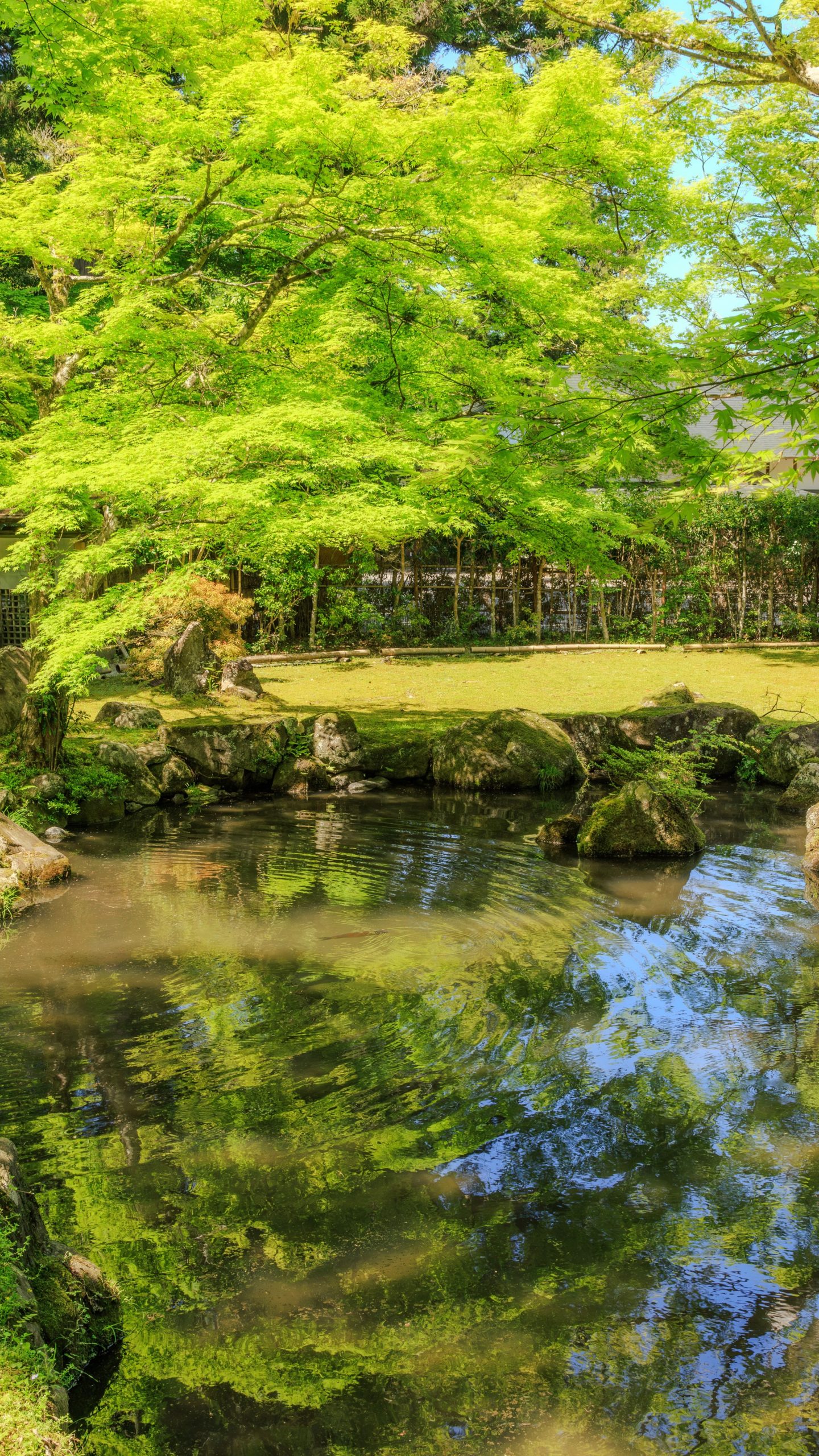 無料壁紙 新緑が水面に映る5月の庭園。PCとデスクトップ壁紙に最適な4K高画質の無料壁紙。三重県津市の北畠神社で撮影したフリー写真素材