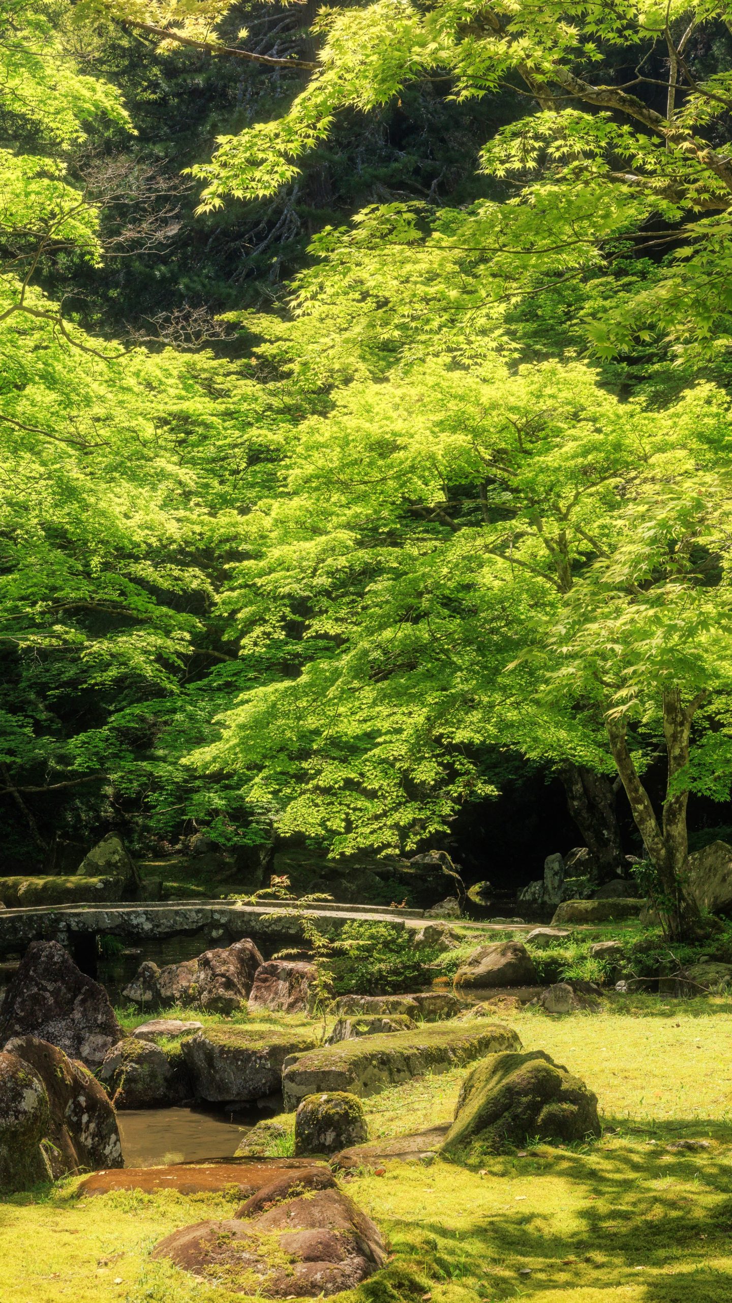 新緑が美しい5月の庭園(三重県津市・北畠神社)
