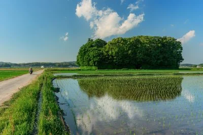 無料壁紙 神社のそばを走るバイク。PCとデスクトップ壁紙に最適な4K高画質の無料壁紙。三重県玉城町の朽羅神社で撮影したフリー写真素材