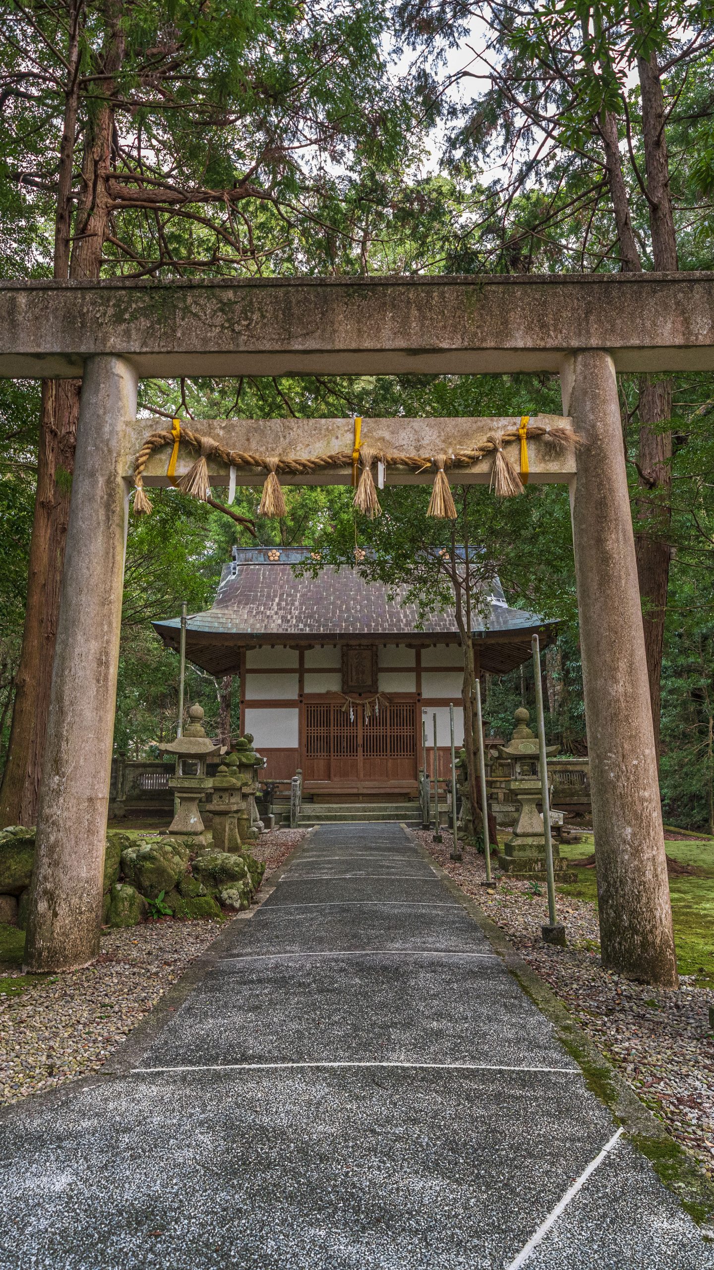 無料壁紙 九木神社の鳥居と狛犬。PCとデスクトップ壁紙に最適な4K高画質の無料壁紙。三重県尾鷲市の九鬼町で撮影したフリー写真素材
